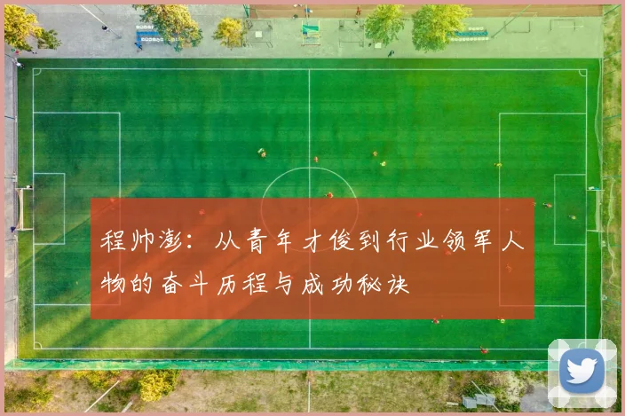 程帅澎：从青年才俊到行业领军人物的奋斗历程与成功秘诀