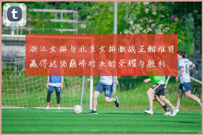浙江女排与北京女排激战正酣谁将赢得这场巅峰对决的荣耀与胜利